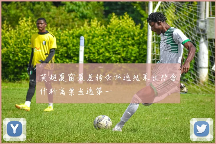 英超夏窗最差转会评选结果出炉舍什科高票当选第一