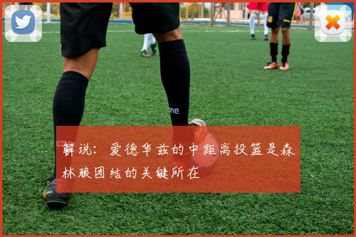 解说：爱德华兹的中距离投篮是森林狼团结的关键所在