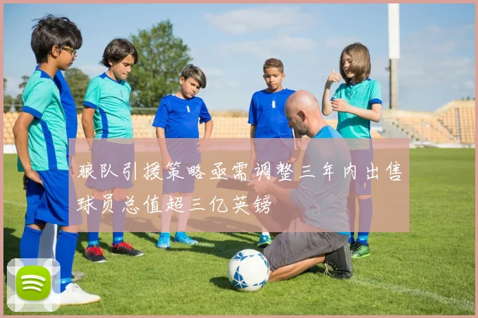 狼队引援策略亟需调整三年内出售球员总值超三亿英镑