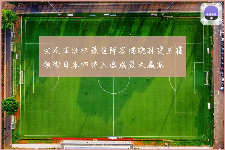 女足亚洲杯最佳阵容揭晓孙雯王霜领衔日本四将入选成最大赢家